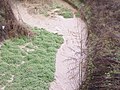 Il torrente "rigonfio" d'acqua dopo giornate temporalesche