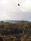 Een Cougar van de Koninklijke Luchtmacht tijdens bluswerkzaamheden bij de duinbrand bij Schoorl in april 2010