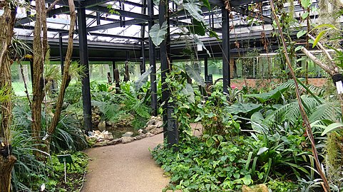 Serre des plantes accrobranchées.