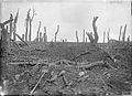 Photo noir et blanc avec terre toute retournée et troncs d'arbres déchiquetés.