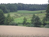 Dammer Berge in Wahlde