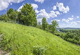 Blick zum Main bei Mainberg