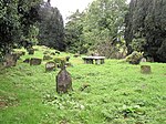 Drumragh Graveyard - geograph.org.uk - 95904