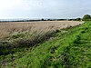 Burham Marsh