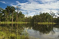 Chitwan-Nationalpark