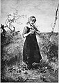 Die Gartenlaube (1891) b 340 a.jpg