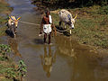 Farmer in Tamil Nadu 1993