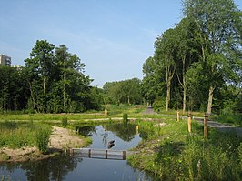 't Kleine Loopveld (juli 2013)