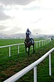 Leopardstown Racecourse