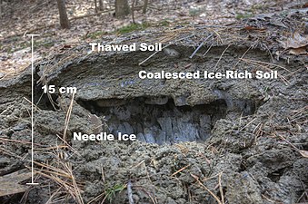 I have rewritten the article on Frost heaving and provided a photograph for clarity.