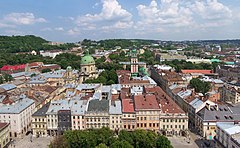 Panorama Lwowa. Widok z góry przedstawia budynki, szare i czerwone dachy kamienic, w oddali wieża i kopuła. W tle widać porośnięte drzewami wzgórze i błękitne niebo.