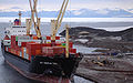 MV «American Tern» fører forsyningar til McMurdo-basen