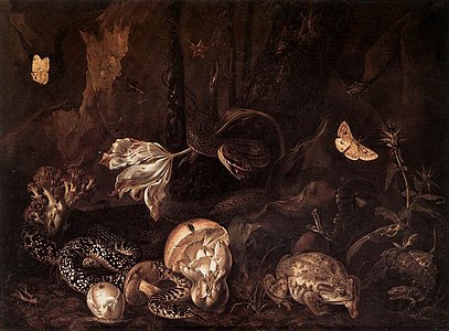 Nature morte avec insectes, 1662 Herzog Anton Ulrich Museum