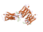 2i37​: Kristalna struktura fotoaktiviranog rodopsina