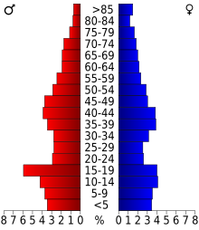 Schéma représentant la population du comté, par tranche d'âge. En rouge, à gauche, les femmes, en bleu à droite, les hommes.