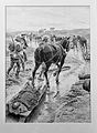 Horse-drawn transport of Wounded