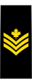 Petty officer 2nd class (French: Maître de 2e classe) (Royal Canadian Navy)[2]