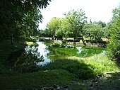 Photographie en couleurs d'un bassin d'eau naturel entouré de végétation.