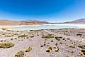 20. A Honda-tó (Bolívia) (javítás)/(csere)