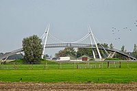 Slachtetille over de A31 ten noorden van Franeker