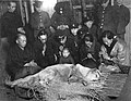 Der tote Hachikō, letztes bekanntes Foto mit Yaeko Ueno, der Partnerin von Hachikōs Besitzer Hidesaburō Ueno (zweite von rechts)