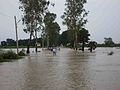 A view of flood in Junagarh
