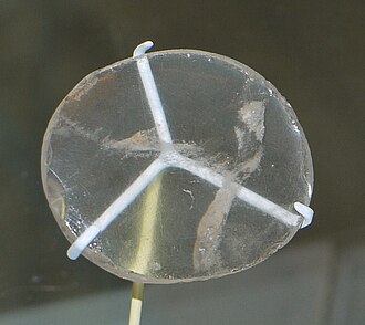 Un ovale de quartz translucide supporté par un portoir blanc à trois branches.