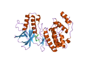 2ghl: Mutant Mus musculus p38 kinase domain in complex with inhibitor PG-874743