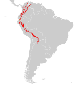 Distribución del oso andino