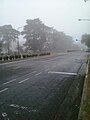 Avenida Pellegrini, casi al llegar a Alvear, en un día de niebla