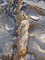 Freiliegender Ausbiss eines Quarzganges, bei Cape Jervis, Südaustralien
