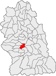 Location in Hunedoara County