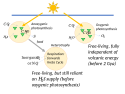 Heterotrophy, oxygenic photosynthesis