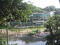 Flamingosee im Jurong Bird Park