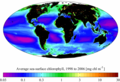 Surface chlorophyll from the SeaWiFS satellite