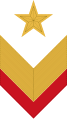 1935年式袖章