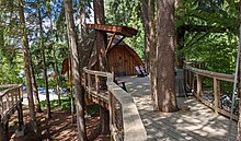 A small treehouse on a elevated wooden walkway.