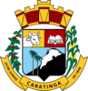 Official seal of Caratinga