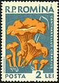 Briefmarke aus Rumänien (1958)