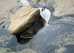 Plage anglaise noircie par des résidus de charbon.