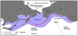 Stellerinmerileijonan levinneisyysalue