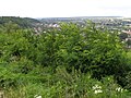 Panorama sulla valle di Halyč