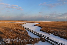 Boardwalk, January