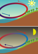 Skizze zum Land-Seewind-System A Seewind / B Landwind