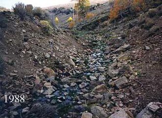 Kamenita, smeđa obala, uglavnom gole vegetacije, s nekoliko stabala u pozadini – Obalno područje Cottonwood Creeka na jugoistoku Oregona prije restauracije, 1988.