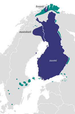  Финский язык имеет официальный статус.  Финский язык используется заметной частью населения.