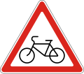 Bicycle crossing