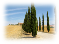 Panorama della Val d'Orcia