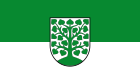 Bandiera de Homburg