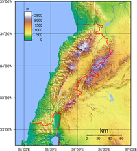 Lila rosett + deltagarpris: Karta över Libanon